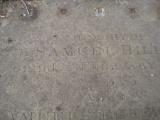 image of grave number 365996